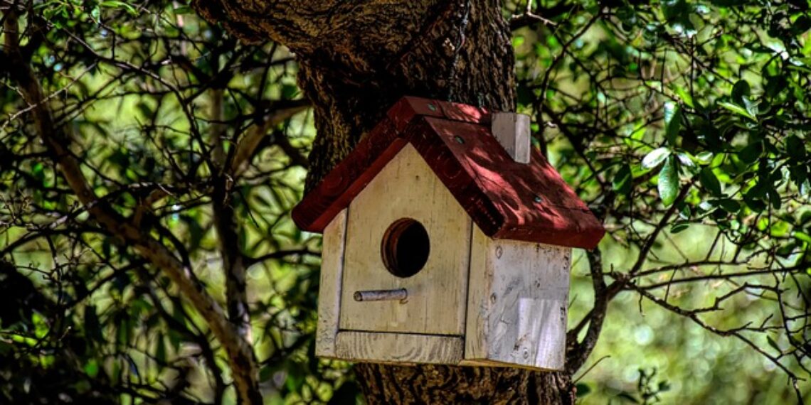 Wooden Bird House In Tree